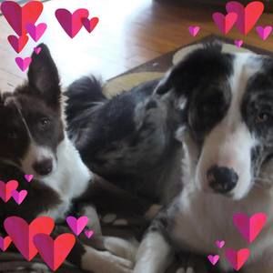 Meet your Posher, Judith